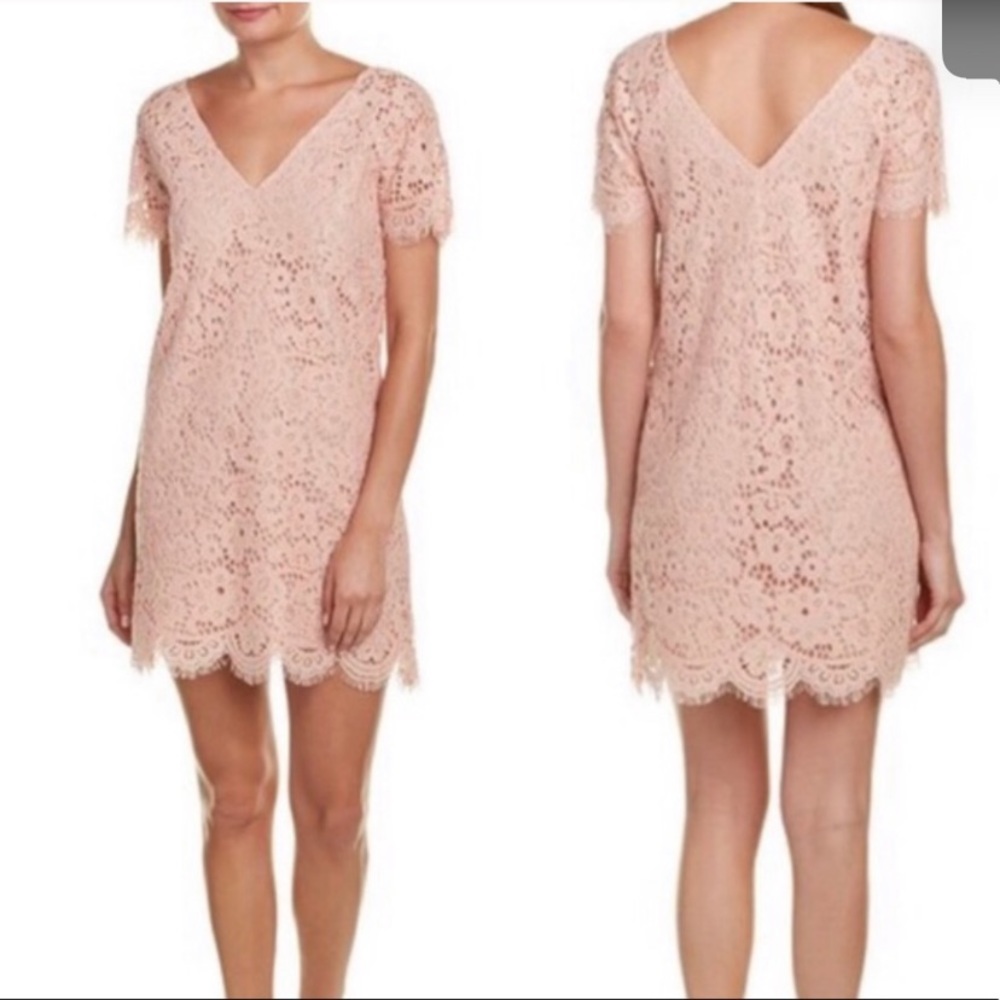 BB Dakota Pink Double V Lace Dress NWT Medium